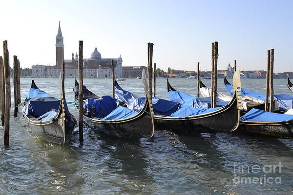 Gondolas Poster featuring the photograph Venice gondolas by Rebecca Margraf