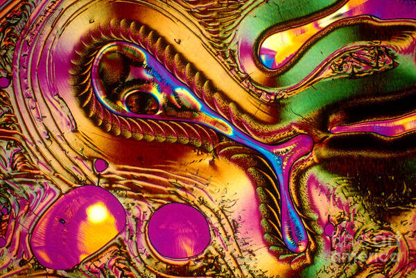 Chemistry Poster featuring the photograph Vitamin C Crystal by Michael W Davidson