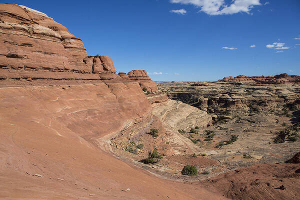 Arid Poster featuring the photograph Water Canyon by Tim Grams