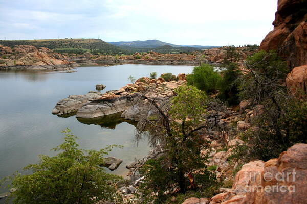 Prescott Poster featuring the photograph Watson lake 2 by Julie Lueders 