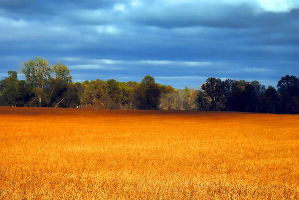 Blue Sky Poster featuring the photograph Waves of Grain by Jeffrey Platt