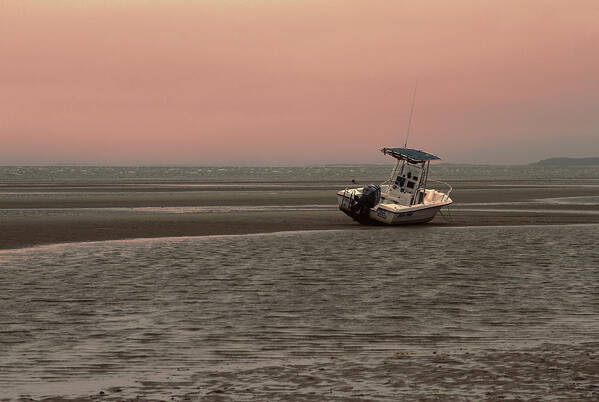 Coastal Poster featuring the photograph Where Did The Tide Go by Karol Livote