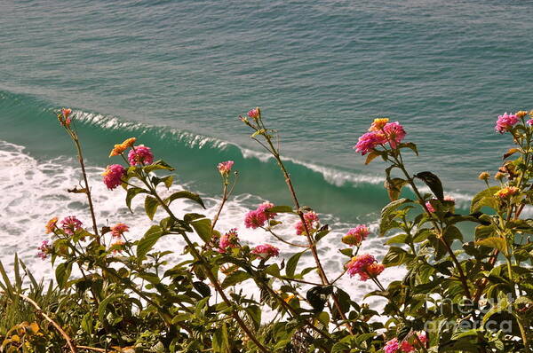 Wildflowers Poster featuring the photograph Wildflowers and Waves by Johanne Peale