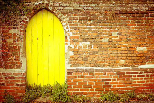 Access Poster featuring the photograph Yellow gateway by Tom Gowanlock