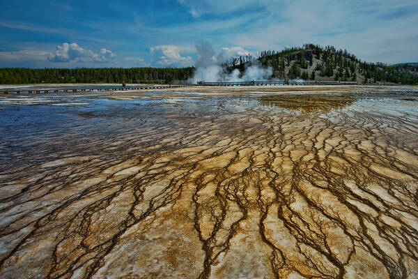 Yellowstone National Park Poster featuring the photograph Yellowstone Blood Vessels by Dan Mihai