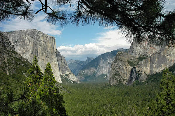 Yosemite Poster featuring the photograph Yosemite's Tunnel View by Geraldine Alexander
