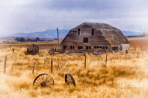 A Deserted Nebraska Farm Poster featuring the photograph A Deserted Nebraska Farm #1 by Priscilla Burgers