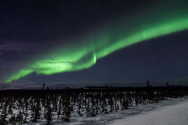 Alaska Poster featuring the photograph Alaska Aurora Borealis #1 by Scott Slone