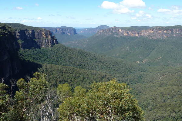 Australia Poster featuring the photograph Blue Mountains by Carla Parris