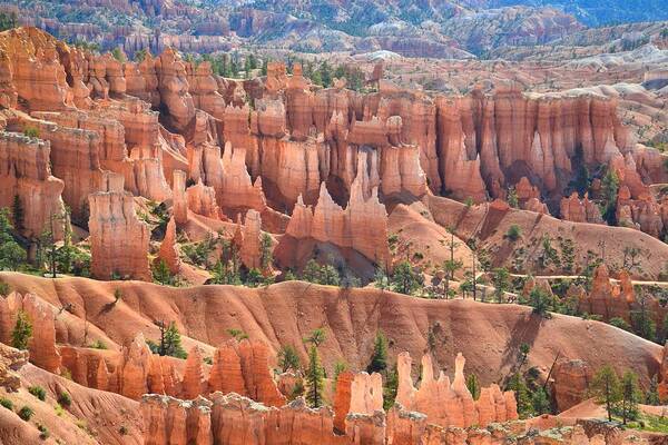 Bryce Canyon National Park Poster featuring the photograph Bryce Canyon's Queen Garden #2 by Ray Mathis