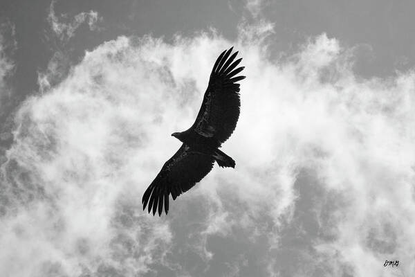 California Poster featuring the photograph California Condor in Flight #1 by David Gordon