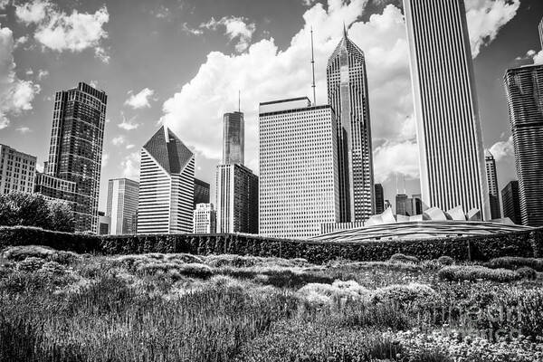 America Poster featuring the photograph Chicago Skyline at Lurie Garden Black and White Photo #1 by Paul Velgos
