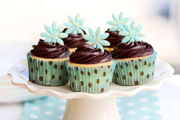 Cupcake Poster featuring the photograph Chocolate cupcakes #1 by Ruth Black