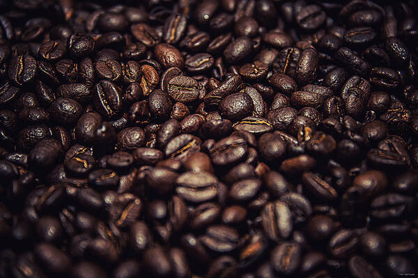 Cup Poster featuring the photograph Coffee Beans #3 by Ryan Wyckoff