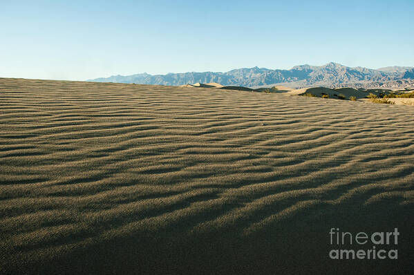Dunes Poster featuring the photograph Death Valley 13 #1 by Micah May