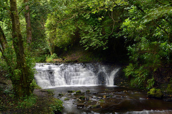 Glencar Waterfall Poster featuring the photograph Down Stream, #1 by Terence Davis