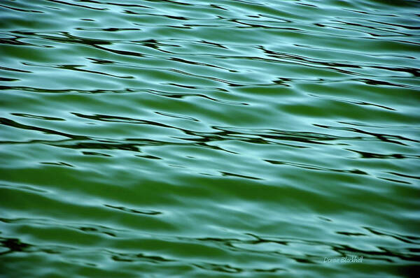 Water Poster featuring the photograph Emerald Sea #1 by Donna Blackhall