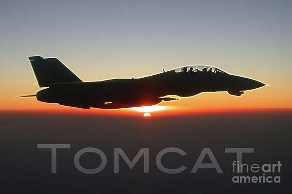 F-14 Poster featuring the digital art F-14 Tomcat #1 by Airpower Art