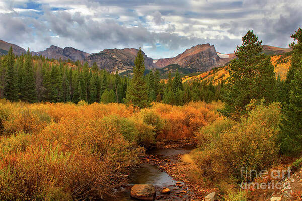 Rocky Mountain National Park Poster featuring the photograph Fall in Rocky Mountain National Park #2 by Ronda Kimbrow