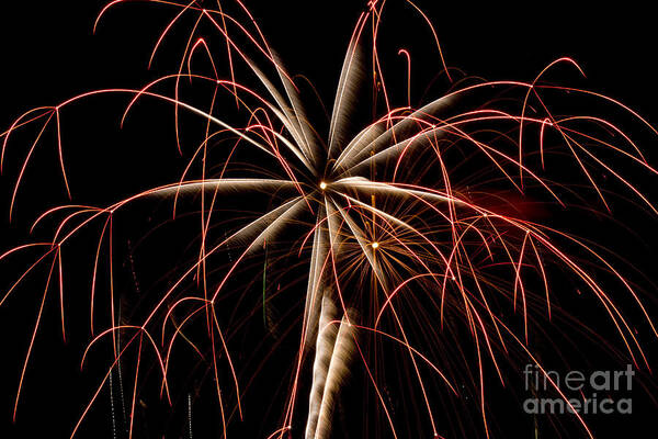 Fireworks 2016 Poster featuring the photograph Fireworks 2016 #1 by Tara Lynn