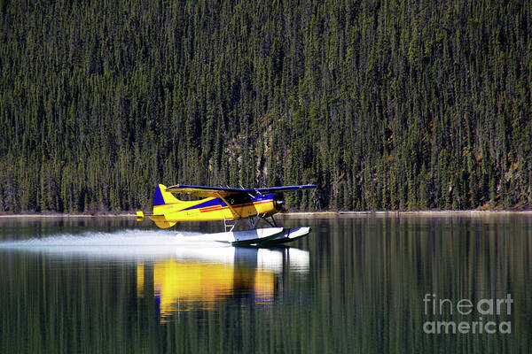 Airplane Poster featuring the photograph Floatplane Landing #1 by Don Siebel