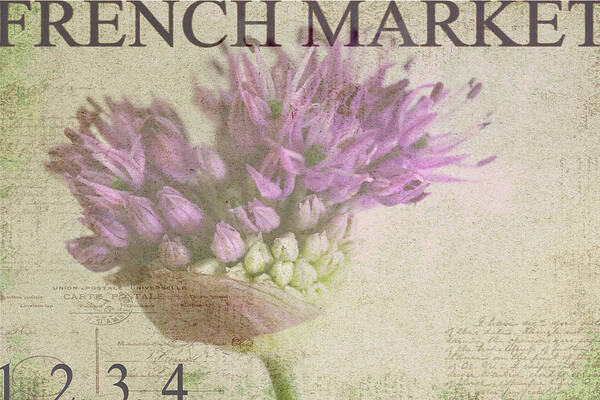 Purple Poster featuring the photograph French Market Series G #1 by Rebecca Cozart