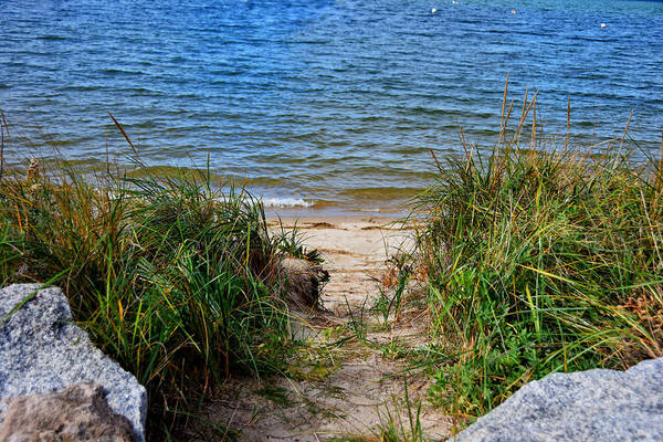 Beach Poster featuring the photograph Harbor Life #2 by Tricia Marchlik