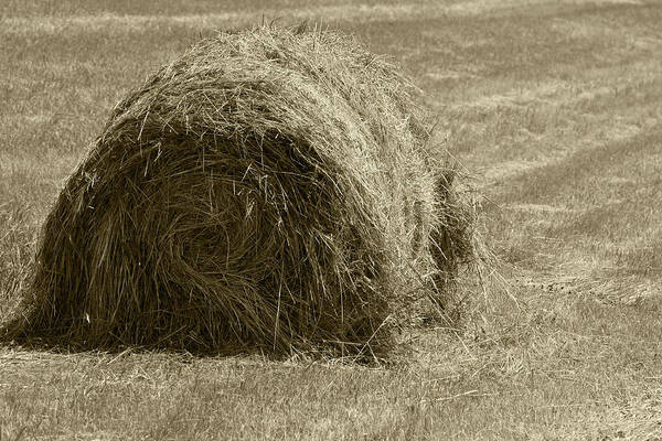 Bale Poster featuring the photograph Hay Bale in a Field #1 by Robert Hamm