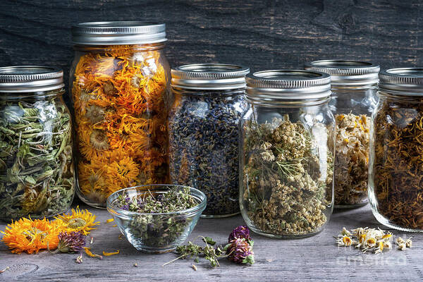 Herbs Poster featuring the photograph Herbs in jars 1 by Elena Elisseeva