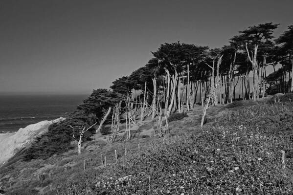 San Francisco Poster featuring the photograph Lands End in San Francisco #1 by Michiale Schneider