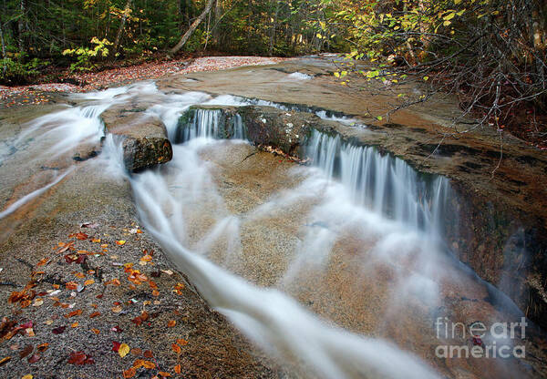 Attraction Poster featuring the photograph Ledge Brook - White Mountains New Hampshire USA #1 by Erin Paul Donovan