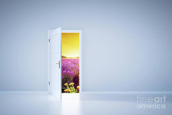 Grand opening illustration, background with open door, light and