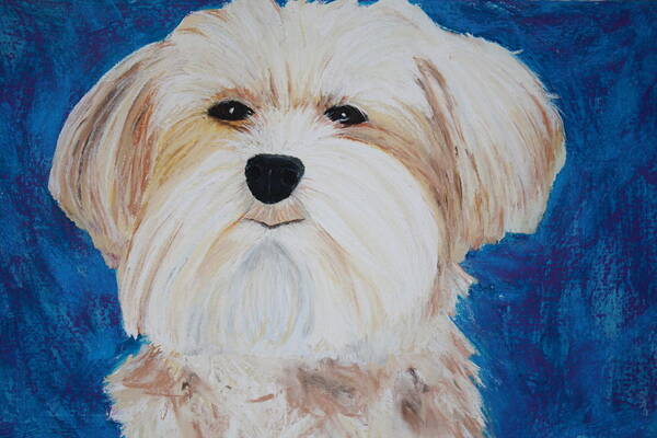 Dog Poster featuring the painting Maggie #1 by Melinda Etzold