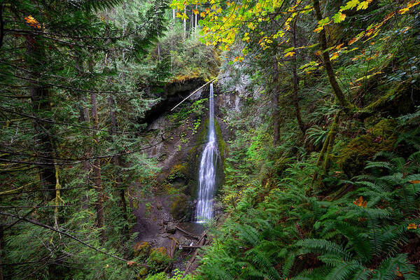 Mark Whitt Poster featuring the photograph Marymere Falls #1 by Mark Whitt