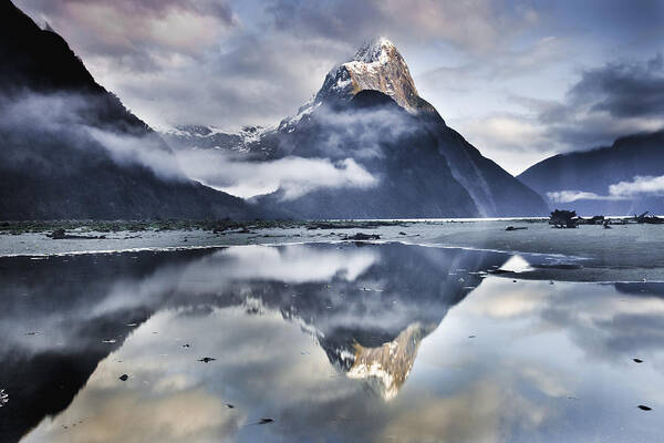 00438708 Poster featuring the photograph Mitre Peak Reflecting In Milford Sound #1 by Colin Monteath