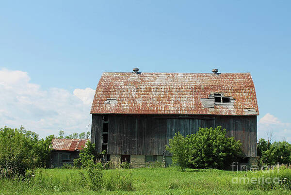 Barn Poster featuring the photograph Old Country Barn II by Nina Silver