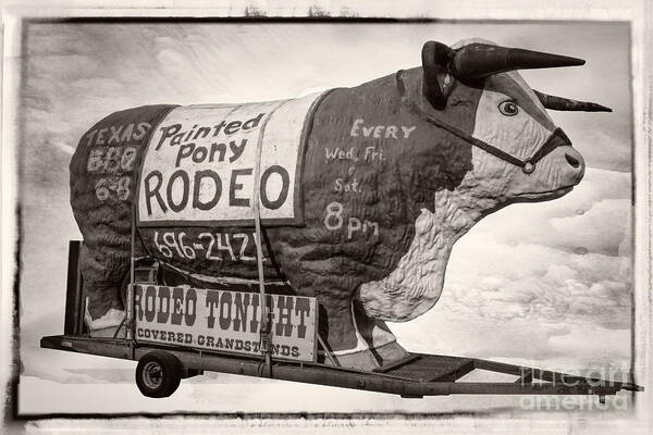 Texas Poster featuring the photograph Painted Pony Rodeo Lake George #1 by Edward Fielding