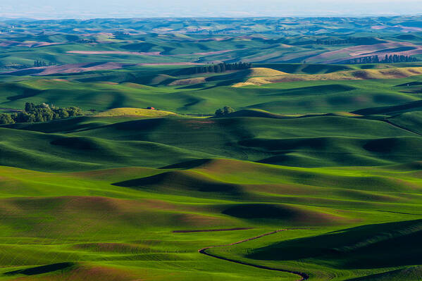 Landscape Poster featuring the photograph Palouse wheat field #1 by Hisao Mogi