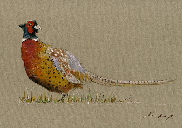 Pheasant Bird Poster featuring the painting Pheasant bird art #1 by Juan Bosco