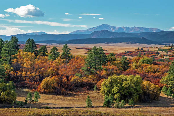 Colorado Poster featuring the photograph Pikes Peak Over Scrub Oak #1 by Dawn Key