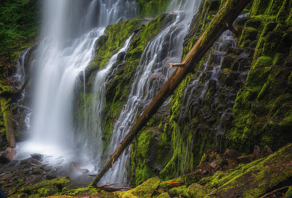 Water Poster featuring the photograph Proxy Falls #1 by Cat Connor