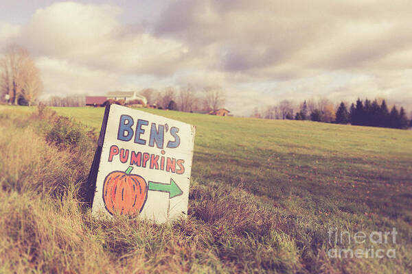 Ben Poster featuring the photograph Pumpkins for Sale #1 by Edward Fielding