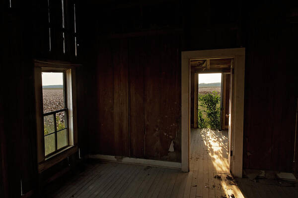 Cotton Poster featuring the photograph Room with a View #2 by Eilish Palmer