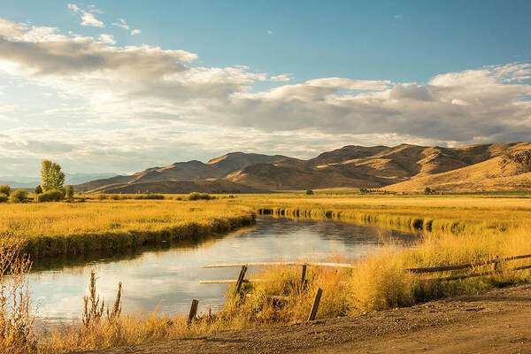 5dmkiv Poster featuring the photograph Silver Creek #1 by Mark Mille