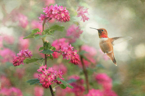 Bird Poster featuring the photograph Spring Arrival #1 by Angie Vogel