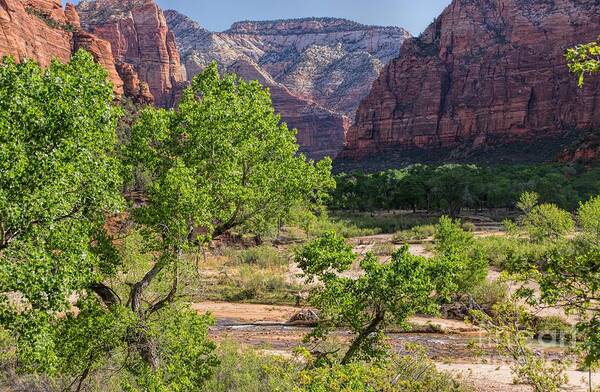 Utah Poster featuring the photograph Spring in Zion #1 by Peggy Hughes