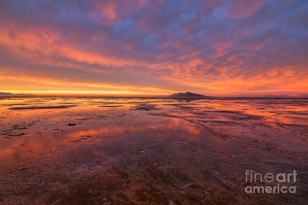 Sunset Poster featuring the photograph Sunset at the Great Salt Lake #1 by Spencer Baugh