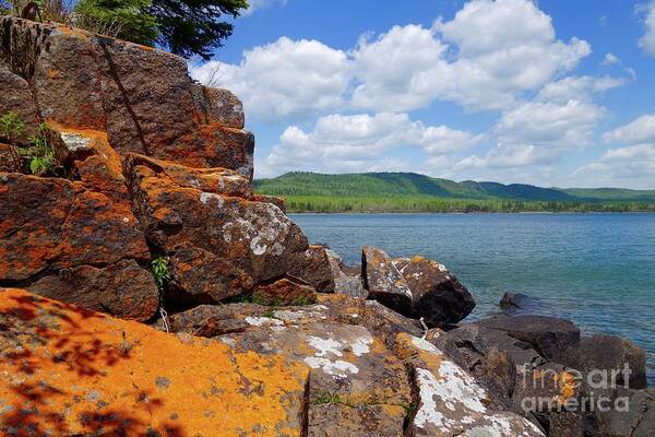 Lake Superior Poster featuring the photograph Superior Lichens #1 by Sandra Updyke