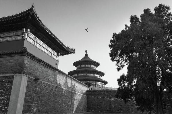 Beijing Poster featuring the photograph Temple of Heaven VI #1 by Erika Gentry