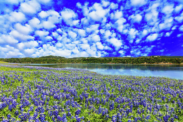 Austin Poster featuring the photograph Texas Hill Country #1 by Raul Rodriguez